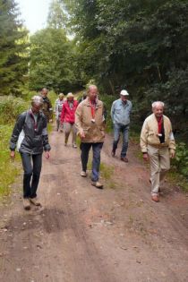 2015-10-06-Bosseln-Waldweg1.jpg